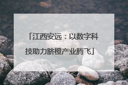 江西安远：以数字科技助力脐橙产业腾飞