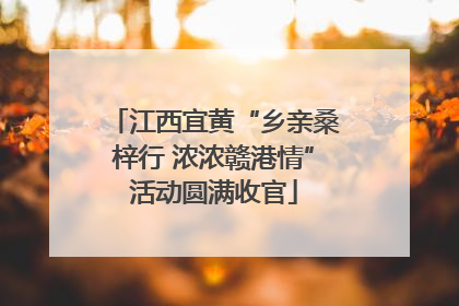 江西宜黄“乡亲桑梓行 浓浓赣港情”活动圆满收官