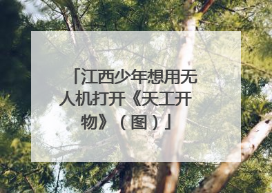 江西少年想用无人机打开《天工开物》（图）