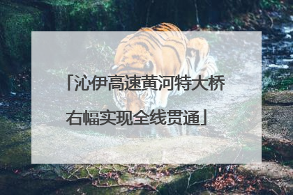 沁伊高速黄河特大桥右幅实现全线贯通