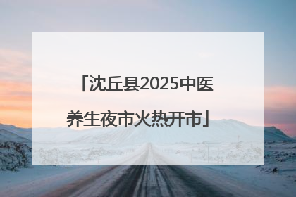 沈丘县2025中医养生夜市火热开市
