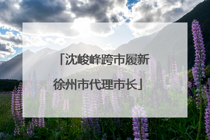 沈峻峰跨市履新徐州市代理市长