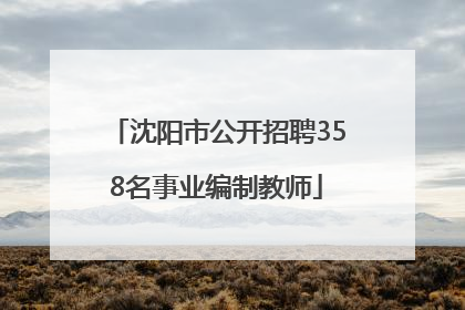 沈阳市公开招聘358名事业编制教师
