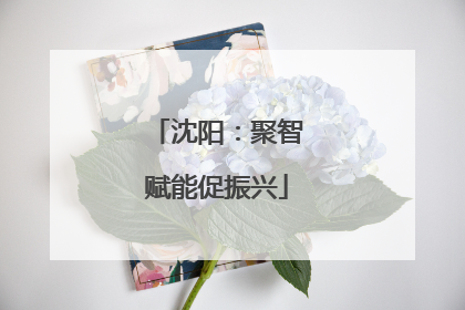 沈阳：聚智赋能促振兴