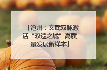沧州：文武双脉激活“双遗之城”高质量发展新样本