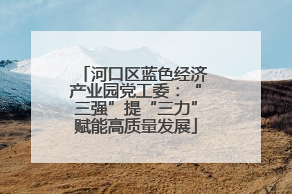 河口区蓝色经济产业园党工委：“三强”提“三力”赋能高质量发展