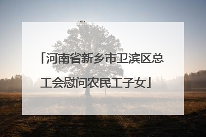 河南省新乡市卫滨区总工会慰问农民工子女