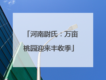 河南尉氏：万亩桃园迎来丰收季