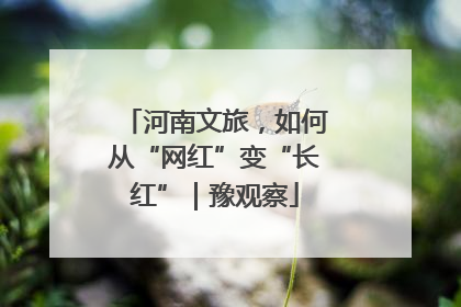 河南文旅，如何从“网红”变“长红”｜豫观察