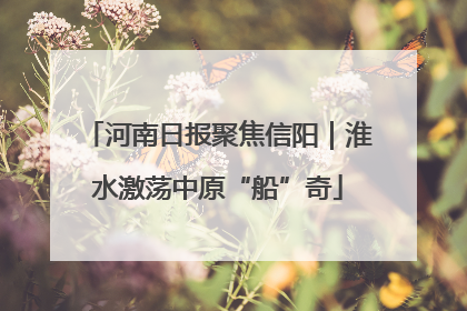 河南日报聚焦信阳｜淮水激荡中原“船”奇
