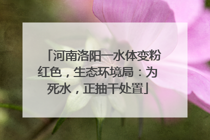 河南洛阳一水体变粉红色，生态环境局：为死水，正抽干处置