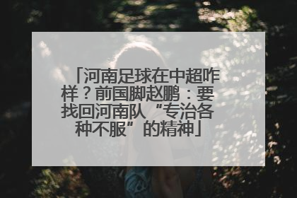 河南足球在中超咋样？前国脚赵鹏：要找回河南队“专治各种不服”的精神