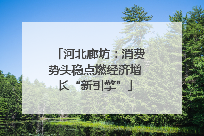河北廊坊：消费势头稳点燃经济增长“新引擎”