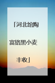 河北馆陶富铬黑小麦丰收