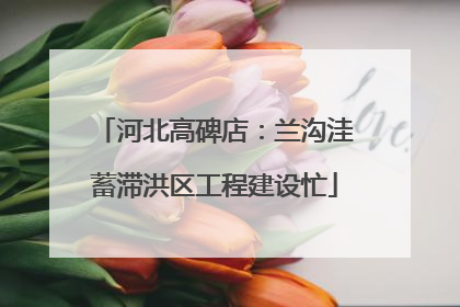 河北高碑店：兰沟洼蓄滞洪区工程建设忙