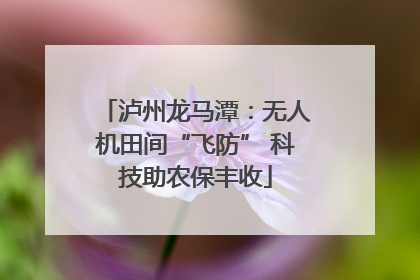 泸州龙马潭：无人机田间“飞防” 科技助农保丰收