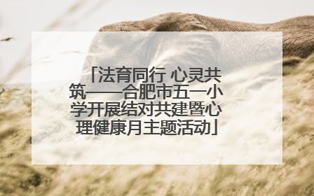 法育同行 心灵共筑——合肥市五一小学开展结对共建暨心理健康月主题活动