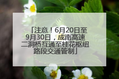 注意！6月20日至9月30日，成南高速二洞桥互通至桂花枢纽路段交通管制