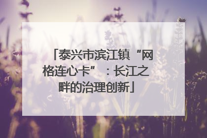 泰兴市滨江镇“网格连心卡”：长江之畔的治理创新