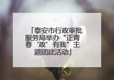 泰安市行政审批服务局举办“正青春‘政’有我”主题团建活动