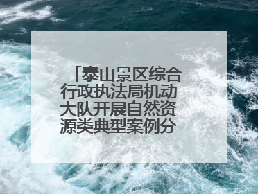 泰山景区综合行政执法局机动大队开展自然资源类典型案例分析交流活动