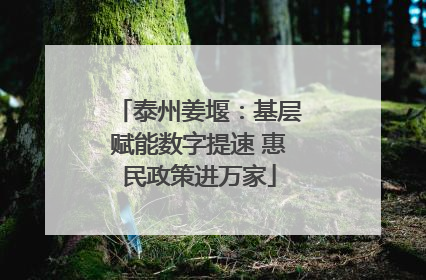 泰州姜堰：基层赋能数字提速 惠民政策进万家