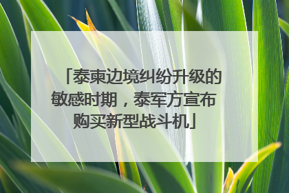 泰柬边境纠纷升级的敏感时期，泰军方宣布购买新型战斗机
