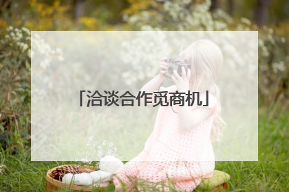 洽谈合作觅商机