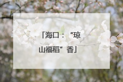海口：“琼山福稻”香
