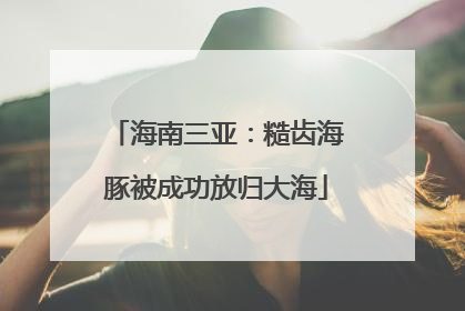 海南三亚：糙齿海豚被成功放归大海