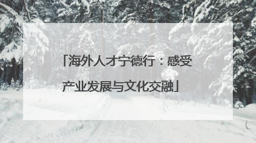 海外人才宁德行：感受产业发展与文化交融