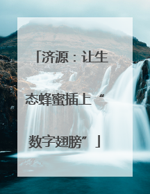 济源：让生态蜂蜜插上“数字翅膀”