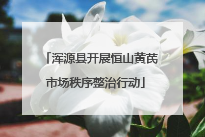 浑源县开展恒山黄芪市场秩序整治行动