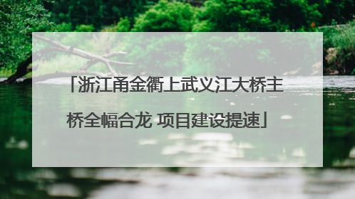 浙江甬金衢上武义江大桥主桥全幅合龙 项目建设提速