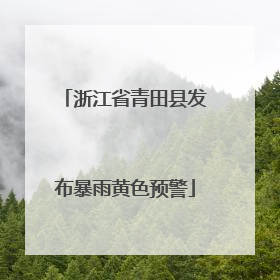 浙江省青田县发布暴雨黄色预警