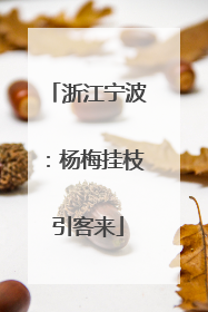 浙江宁波：杨梅挂枝引客来