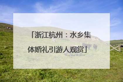 浙江杭州：水乡集体婚礼引游人观赏