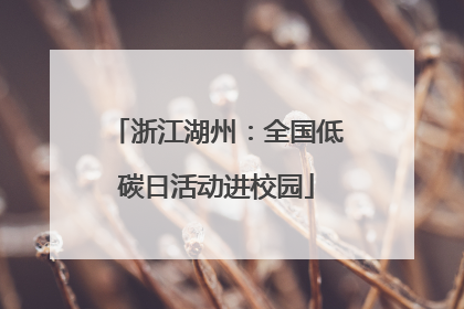 浙江湖州：全国低碳日活动进校园