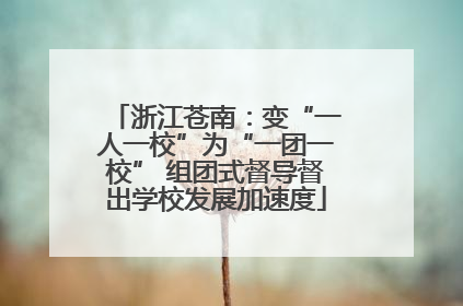 浙江苍南：变“一人一校”为“一团一校” 组团式督导督出学校发展加速度