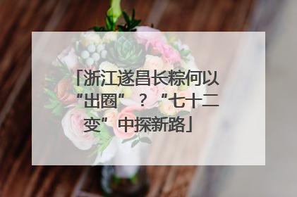 浙江遂昌长粽何以“出圈”？“七十二变”中探新路