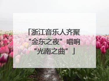 浙江音乐人齐聚“金东之夜”唱响“光南之曲”