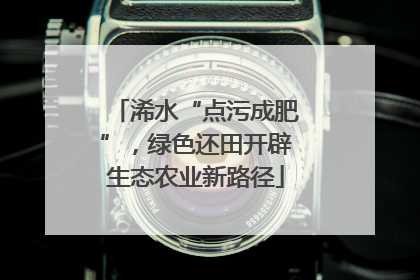浠水“点污成肥”，绿色还田开辟生态农业新路径