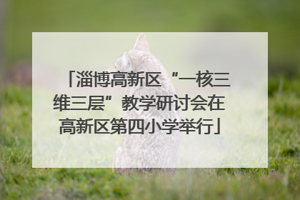 淄博高新区“一核三维三层”教学研讨会在高新区第四小学举行