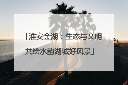 淮安金湖：生态与文明共绘水韵湖城好风景
