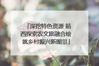 深挖特色资源 靖西探索农文旅融合绘就乡村振兴新图景