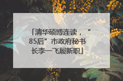 清华硕博连读，“85后”市政府秘书长李一飞履新职