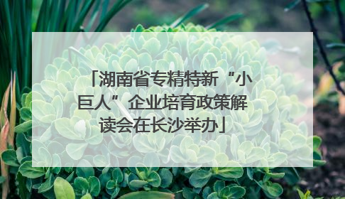湖南省专精特新“小巨人”企业培育政策解读会在长沙举办