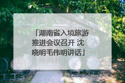 湖南省入境旅游推进会议召开 沈晓明毛伟明讲话