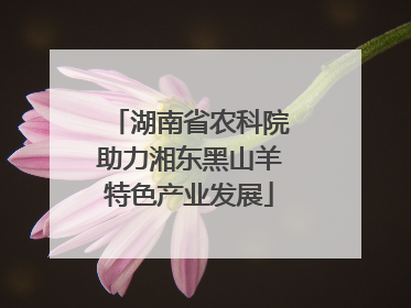 湖南省农科院助力湘东黑山羊特色产业发展