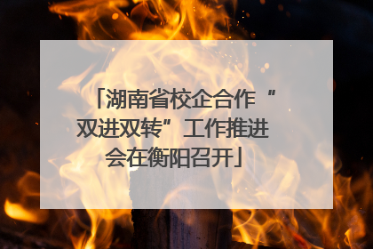 湖南省校企合作“双进双转”工作推进会在衡阳召开
